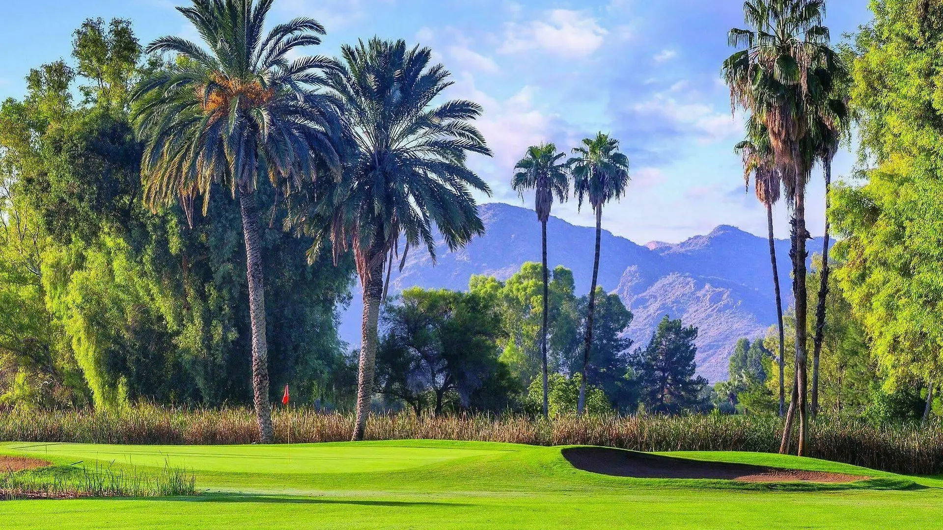 Orange Tree Resort Phoenix